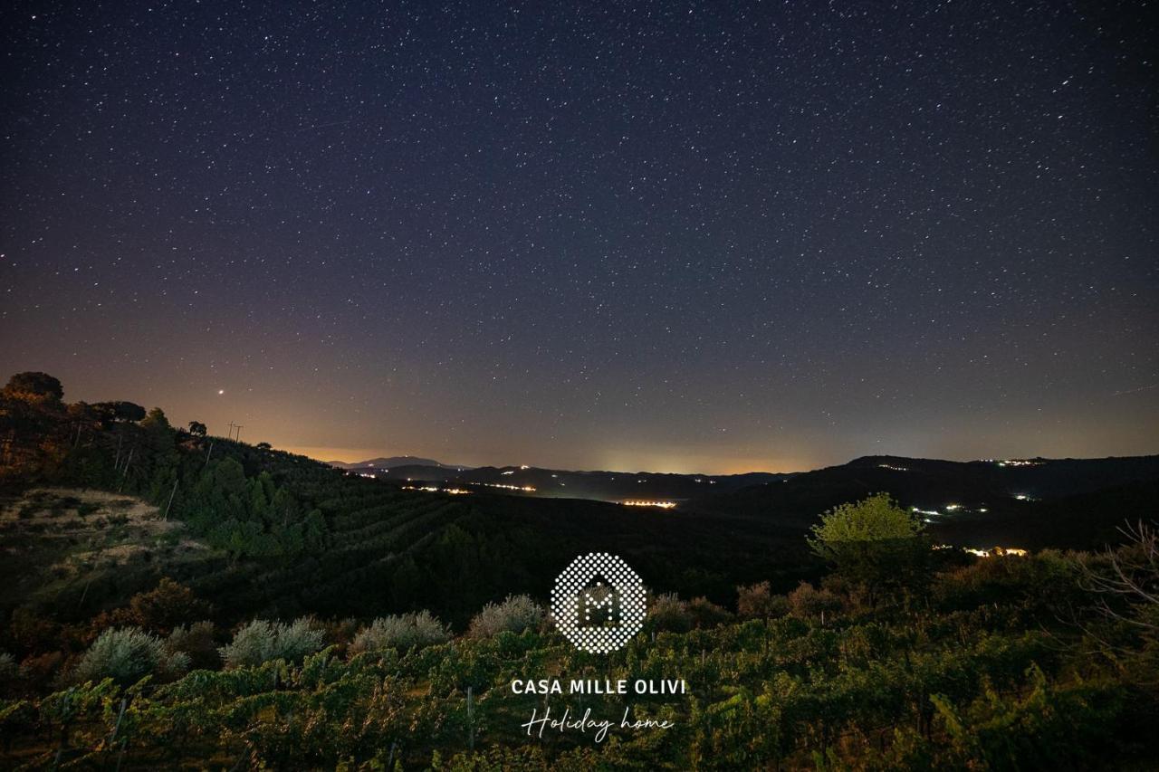 Casa Mille Olivi Villa Buzet Luaran gambar