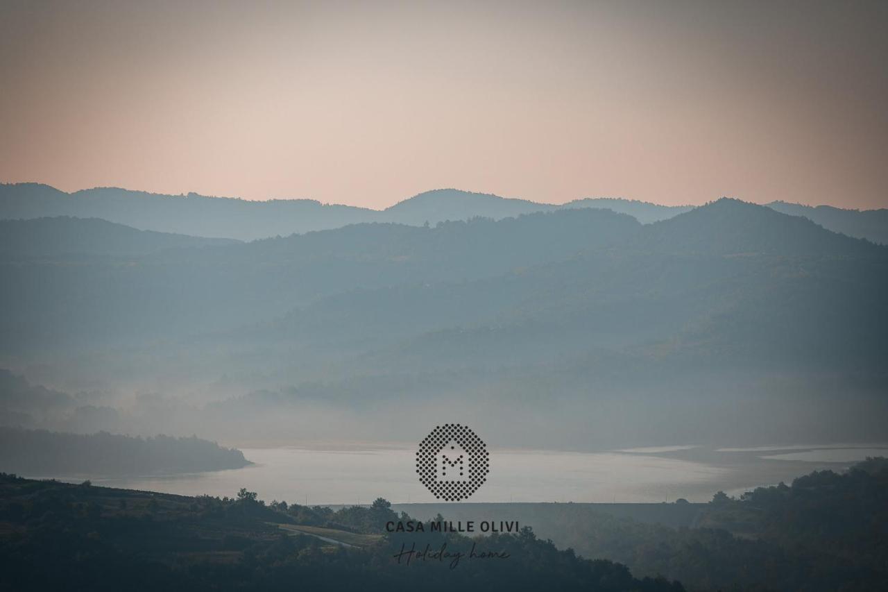 Casa Mille Olivi Villa Buzet Luaran gambar
