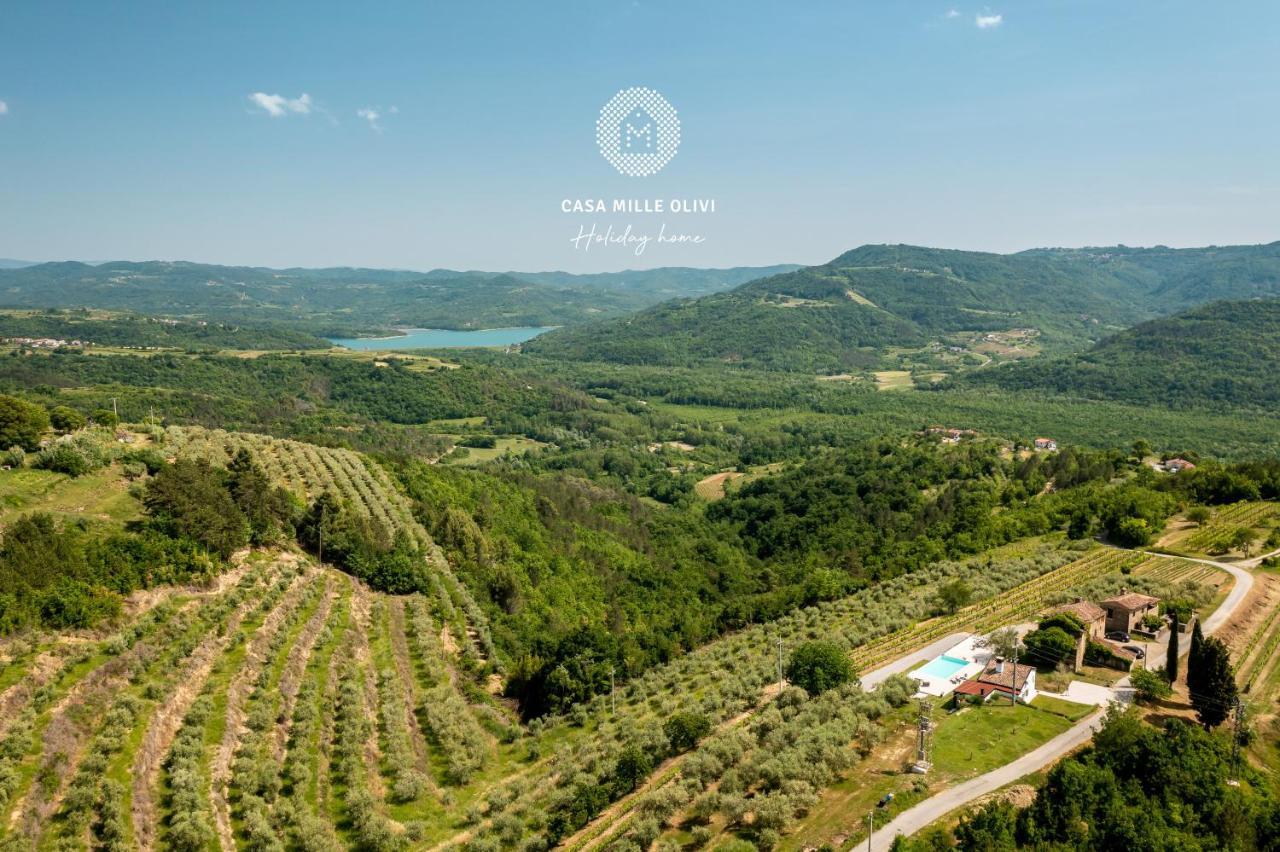 Casa Mille Olivi Villa Buzet Luaran gambar